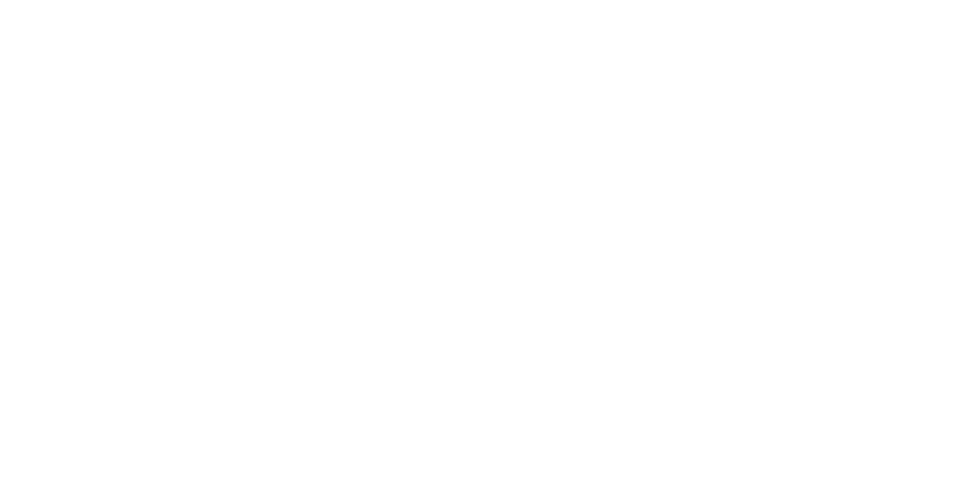 Wealth Wise Consulting Logo white no background Wealth Wise Consulting Logo white no background